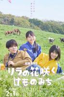 丁香花电影高清在线播放百度云